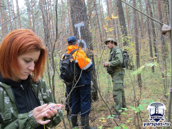 Учения «ЯрСпас»87