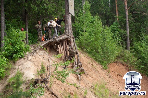 Первый ежегодный слет волонтеров151